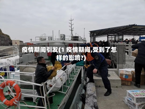 疫情期间引发(1 疫情期间,受到了怎样的影响?)-第2张图片