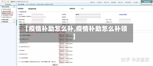 【疫情补助怎么补,疫情补助怎么补领】