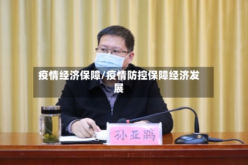 疫情经济保障/疫情防控保障经济发展