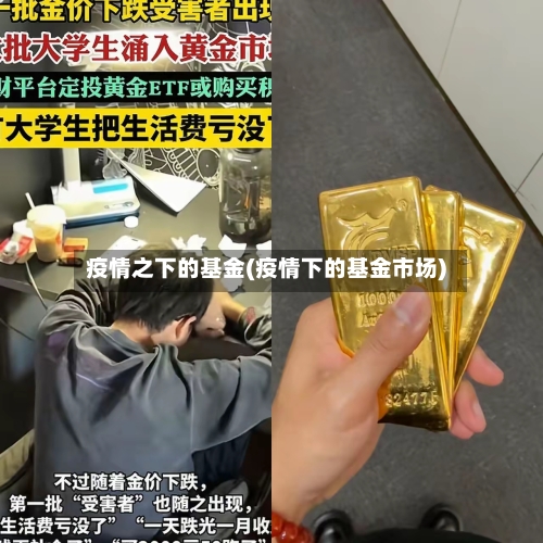 疫情之下的基金(疫情下的基金市场)-第2张图片