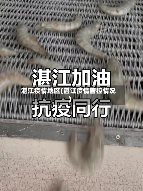 湛江疫情地区(湛江疫情管控情况)-第3张图片