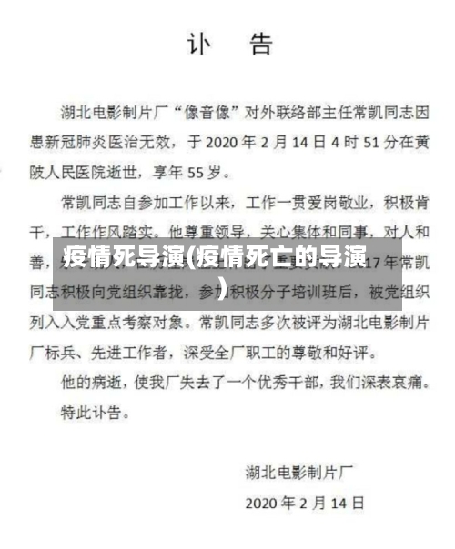 疫情死导演(疫情死亡的导演)-第2张图片