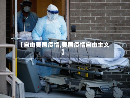 【自由美国疫情,美国疫情自由主义】-第2张图片