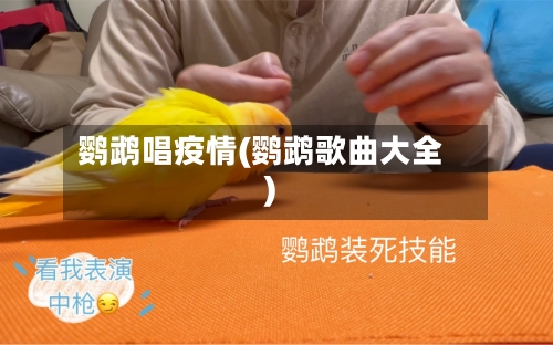 鹦鹉唱疫情(鹦鹉歌曲大全)
