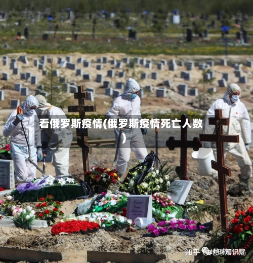 看俄罗斯疫情(俄罗斯疫情死亡人数)-第3张图片