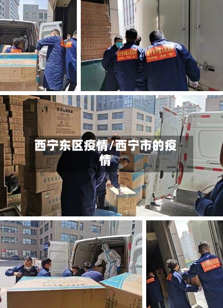 西宁东区疫情/西宁市的疫情-第2张图片