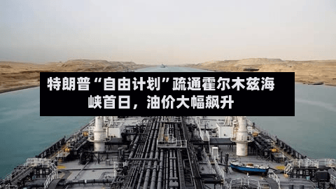 特朗普“自由计划”疏通霍尔木兹海峡首日，油价大幅飙升-第2张图片