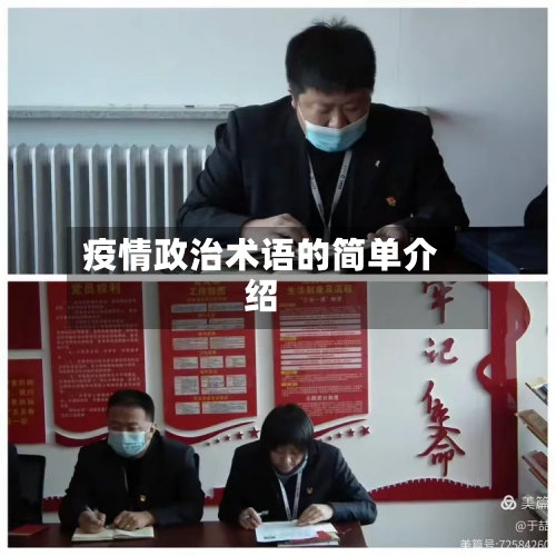 疫情政治术语的简单介绍