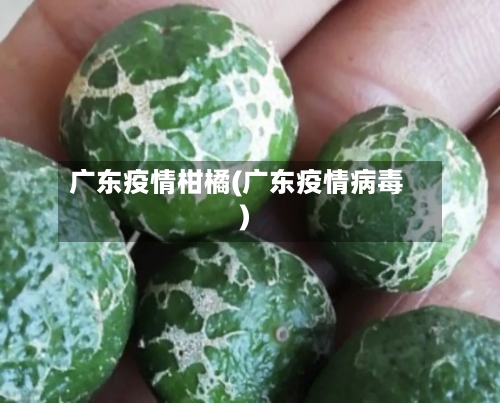 广东疫情柑橘(广东疫情病毒)-第3张图片