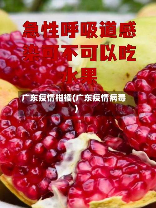 广东疫情柑橘(广东疫情病毒)-第2张图片