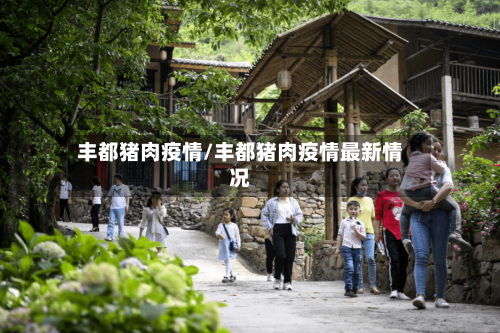 丰都猪肉疫情/丰都猪肉疫情最新情况-第3张图片