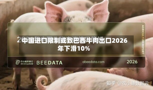 中国进口限制或致巴西牛肉出口2026年下滑10%