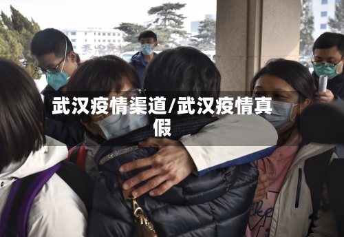 武汉疫情渠道/武汉疫情真假