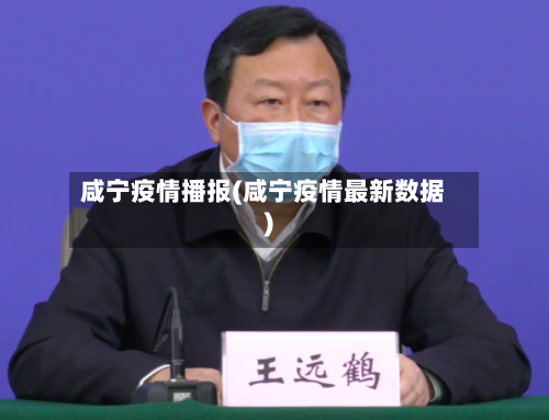 咸宁疫情播报(咸宁疫情最新数据)-第2张图片