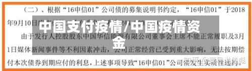 中国支付疫情/中国疫情资金