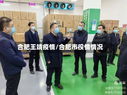 合肥王靖疫情/合肥市役情情况