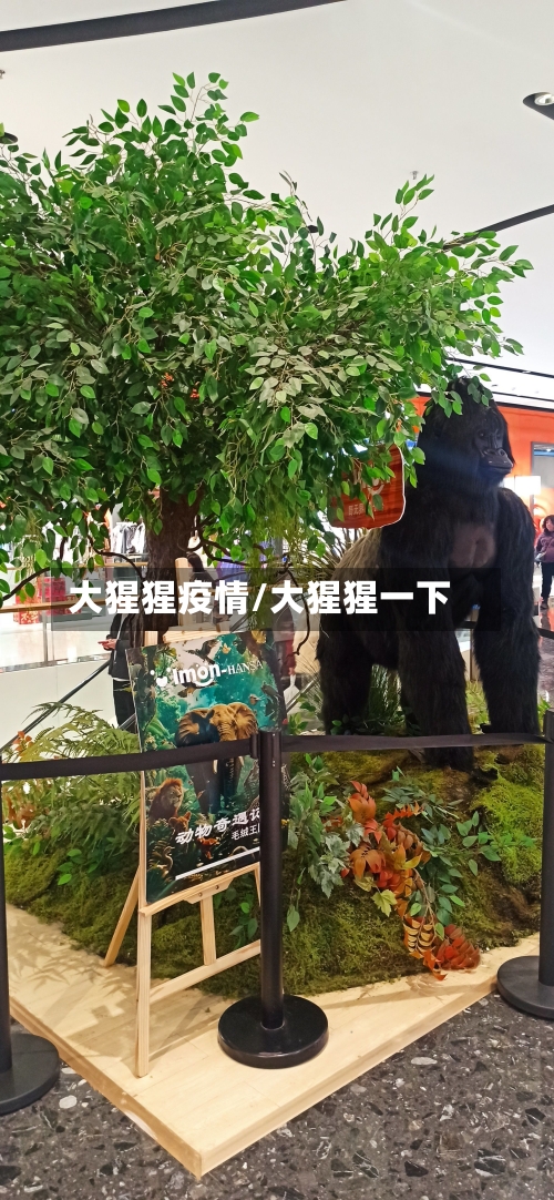 大猩猩疫情/大猩猩一下