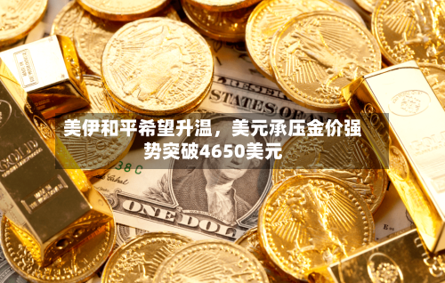 美伊和平希望升温，美元承压金价强势突破4650美元