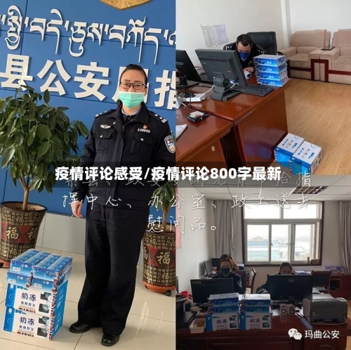 疫情评论感受/疫情评论800字最新
