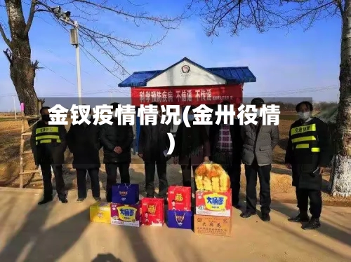 金钗疫情情况(金卅役情)