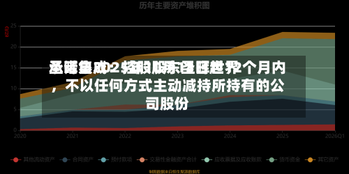 圣晖集成：控股股东圣晖世界承诺自2025年10月13日起12个月内，不以任何方式主动减持所持有的公司股份-第2张图片